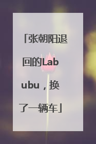 张朝阳退回的Labubu，换了一辆车
